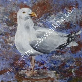 LONE HERRING GULL
