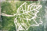 Leaf Print Y2