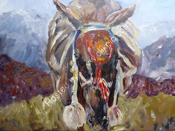 Mountain Mule acrylic on canvas 35 x 27cm £95