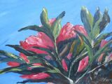 Peonies oil on board 30 x 22cm unframed £50