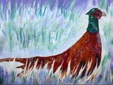 Pheasant