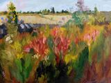 Summer Garden  oil on board POA