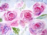 Summer Roses