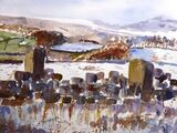 View over Snowy Langsett