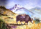 Yak-watercolour