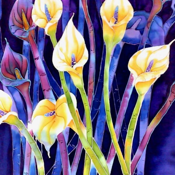 Calla lilies