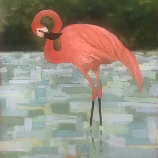 Flamingo