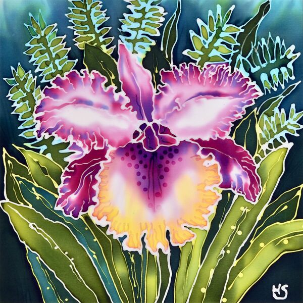 Frilled orchid