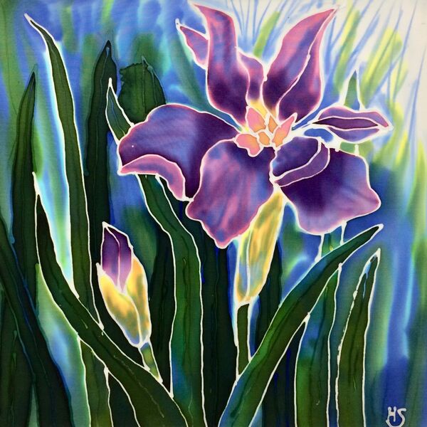 Iris II