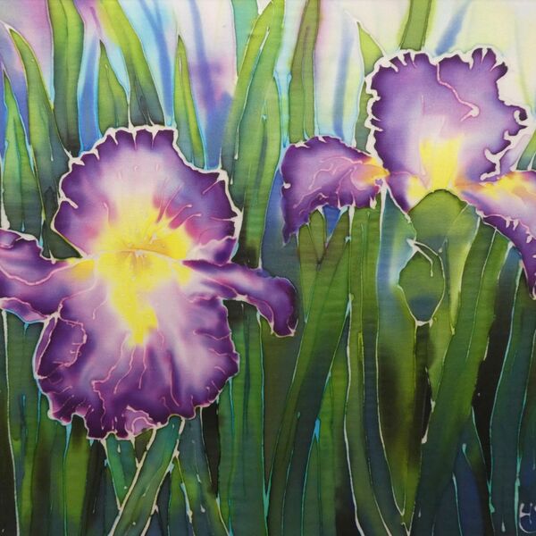 Iris