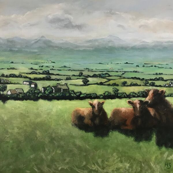 Summer Grazing
