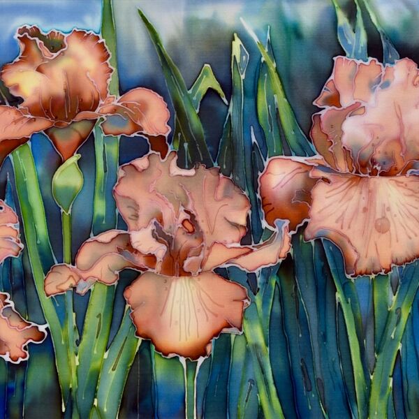 bearded iris