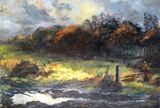 Autumn Trees, Tatenhill.