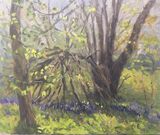 A Den in the Bluebells Woods