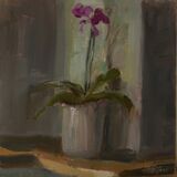 Gift Orchid