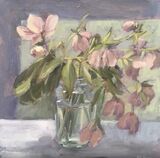 Dusky Hellebores