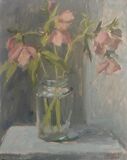 Evening Hellebores