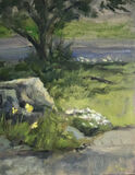 The Big Rock with Daffodils