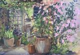 Spring Morning Clematis