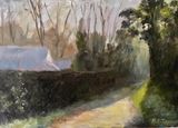 Winter Sunshine