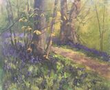 A Path Through the Bluebells