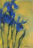 Irises on Yellow