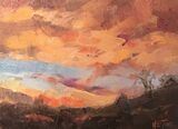 January Sunset
