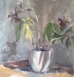 Lenten Roses with Shadows