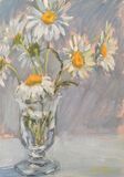 Ox Eye Daisies in Betty's Sherry Glass