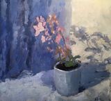 Pink Geraniums on Blue