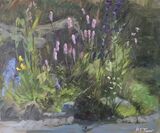 Persicaria in the Front Garden