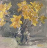 Small Study of Daffodils in Daylight