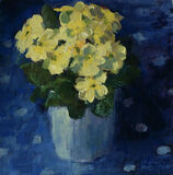 Sunshine Yellow Primroses