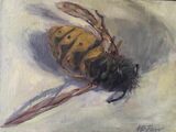 Wasp