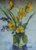 Welsh Poppies and Blue Bells