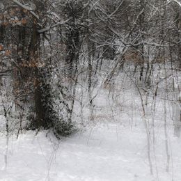 A0169 Just Something About Winter