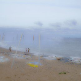 3180-Sharing the Shore