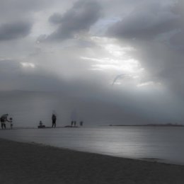 5488-Time to go Home