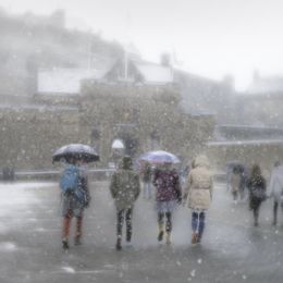 3098 - Snowy Visitors