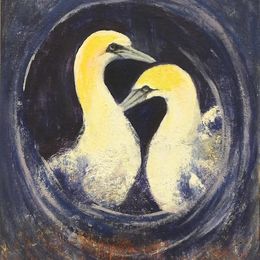 450_Gannets_Greeting_Spiral_16x12in_Acylic
