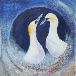 455_Gannets_Greeting_spiral_10x8in_Acrylic