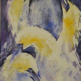 SOLD_434_Gannets_greeting_and_preening_30x20in_Acrylic