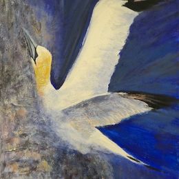 SOLD_469_Gannet_Skypointing_30x24in_Acrylic