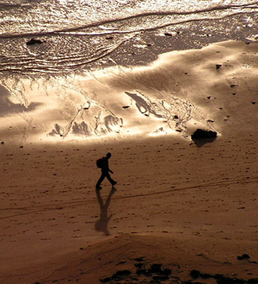 Walking the Coast