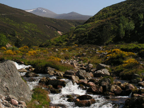 Cairngorm