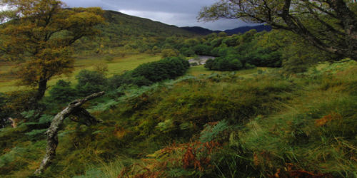 Glen Banchor (wide format, - 2x1)