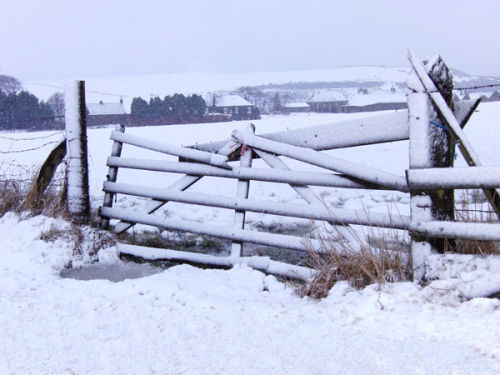 The Broken Gate