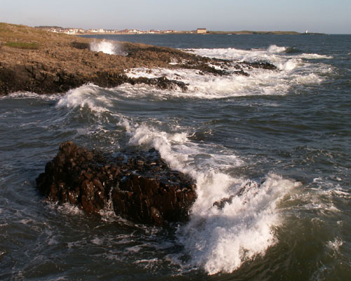 To Elie