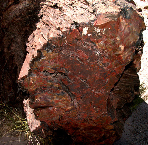 Rock Face