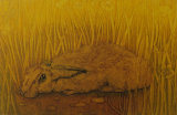 Hester is exhibiting her prints at The Art Room Gallery, Garstang.